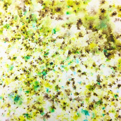 PaperArtsy - Infusions Dye - Slime