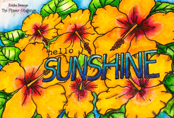 sunshineclose