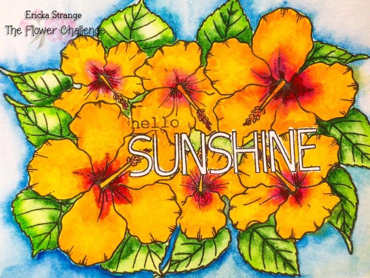 sunshineorg