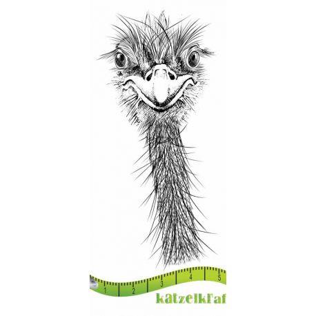 Katzelkraft - Ostrich