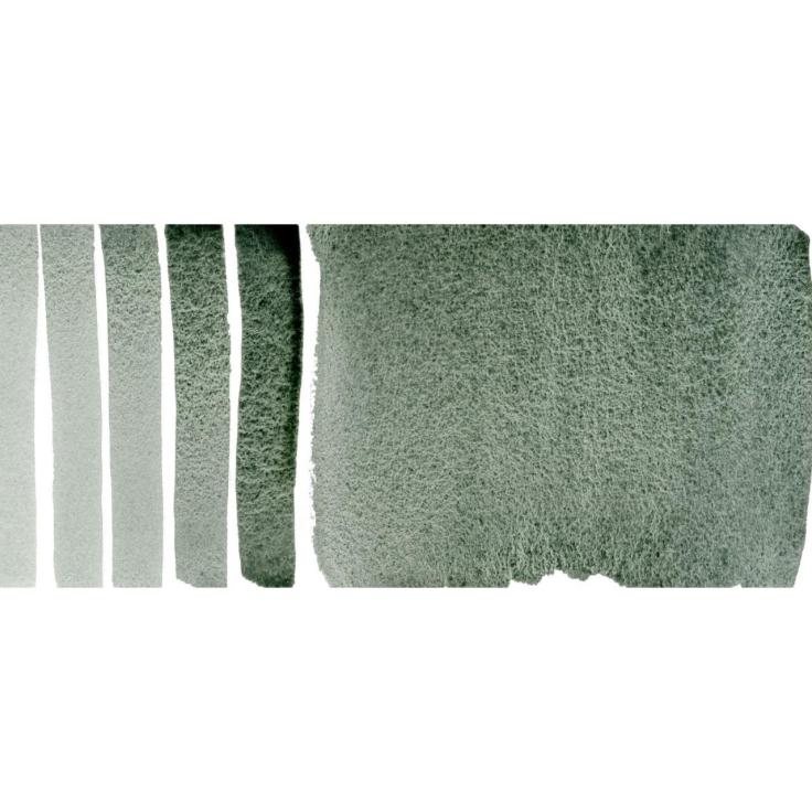 Daniel Smith Watercolors - Rare Green Earth