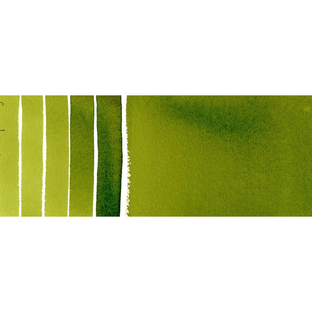 Daniel Smith Watercolors - Sap Green