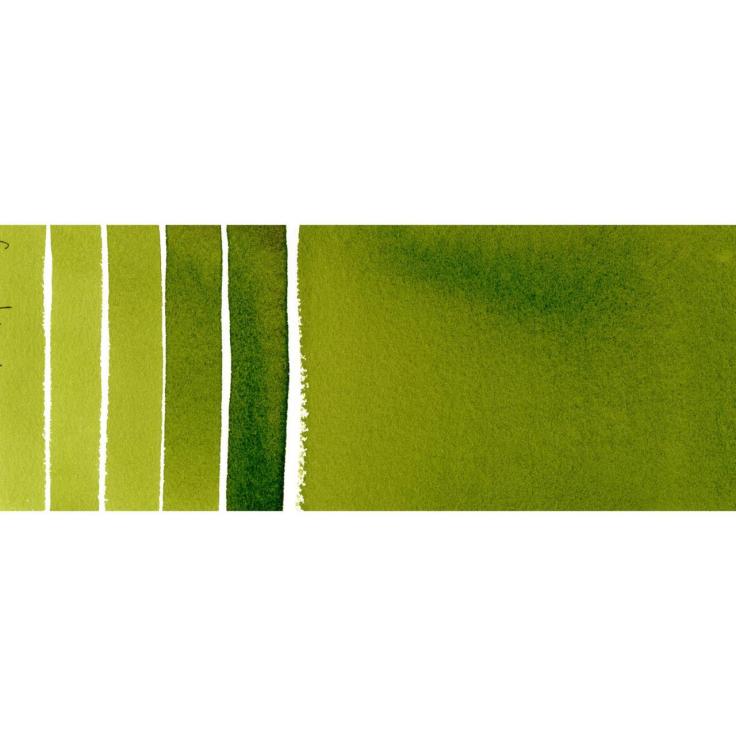 Daniel Smith Watercolors - Sap Green