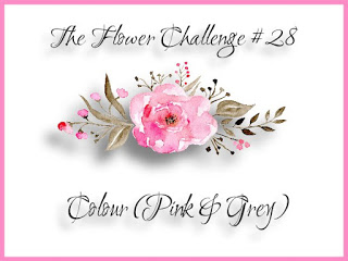 b42ea-TFChallenge252328