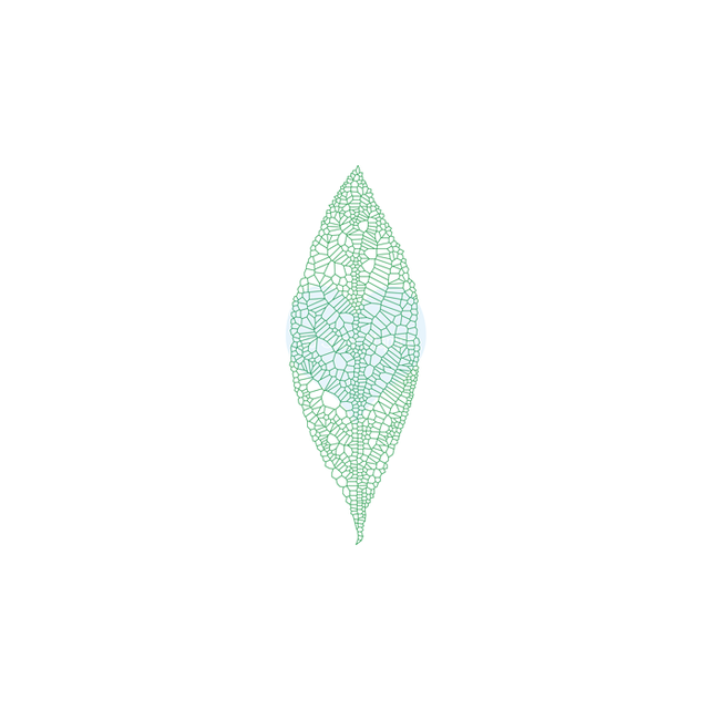 Crackerbox Stamps - Skeleton Leaf  3