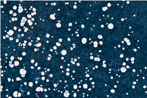 WOW! Embossing - Tschenny's Sky Alexandra Renke