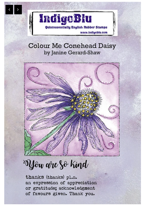 IndigoBlu - Colour Me Conehead Daisy IndigoBlu - Colour Me Conehead Daisy