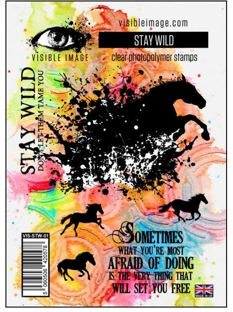 Visible Image - Stay Wild