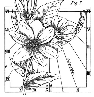 Crafty Individuals - The Line of Hours Crafty Individuals - The Line of Hours