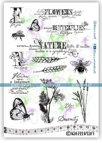 Katzelkraft - Flowers and Nature