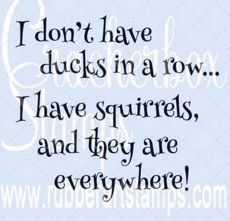 Crackerbox Stamps - Don't Have Duck in Row Crackerbox Stamps - Don't Have Duck in Row