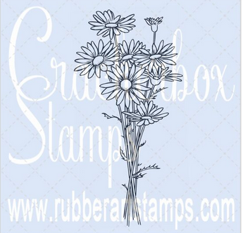 Crackerbox Stamps - Daisy Bunch