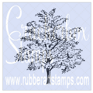 Crackerbox Stamps - Big Tree 2