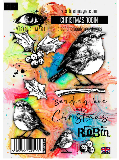 Visible Image - Christmas Robin