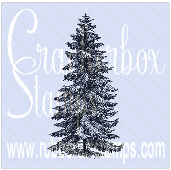 Crackerbox Stamps - Spruce Tree Tall