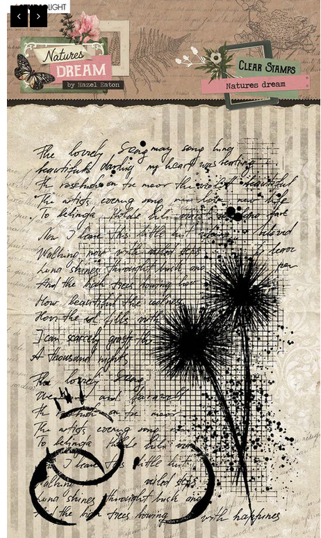 Studio Light - Nature's Dreams