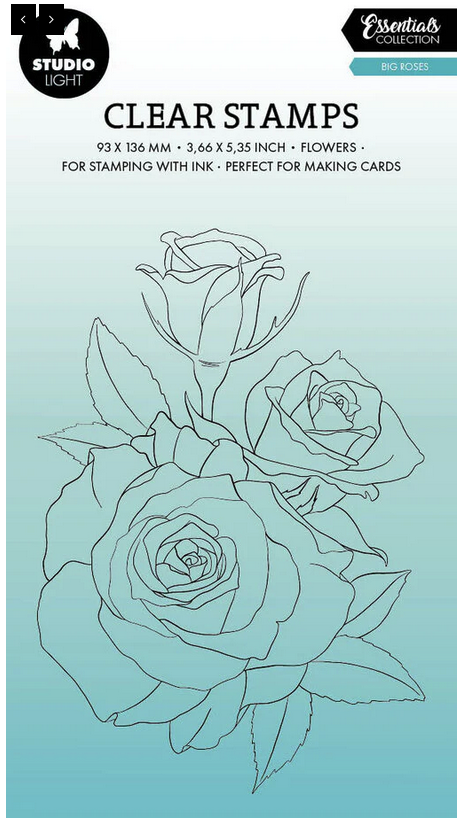 Studio Light - Big Roses